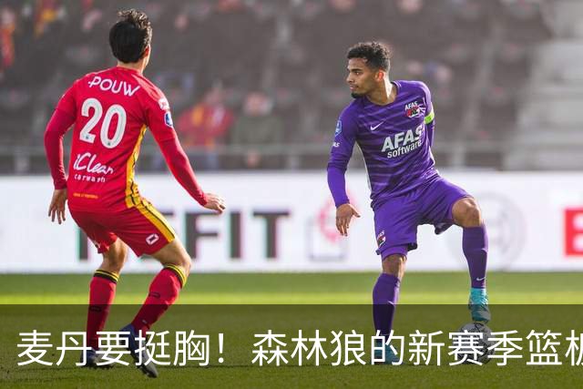 麦丹要挺胸！森林狼的新赛季篮板危机